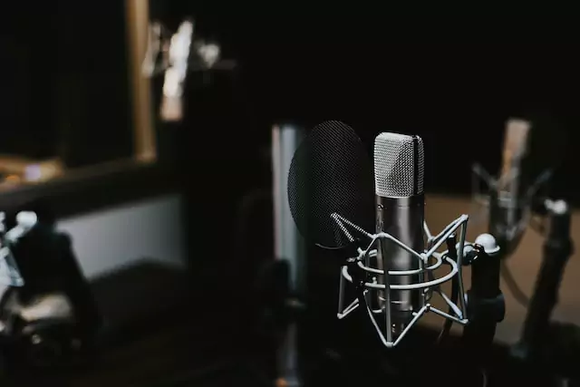 professional microphone
