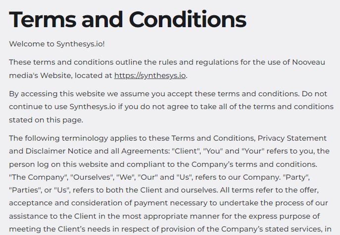 terms-and-conditions-synthesys-io